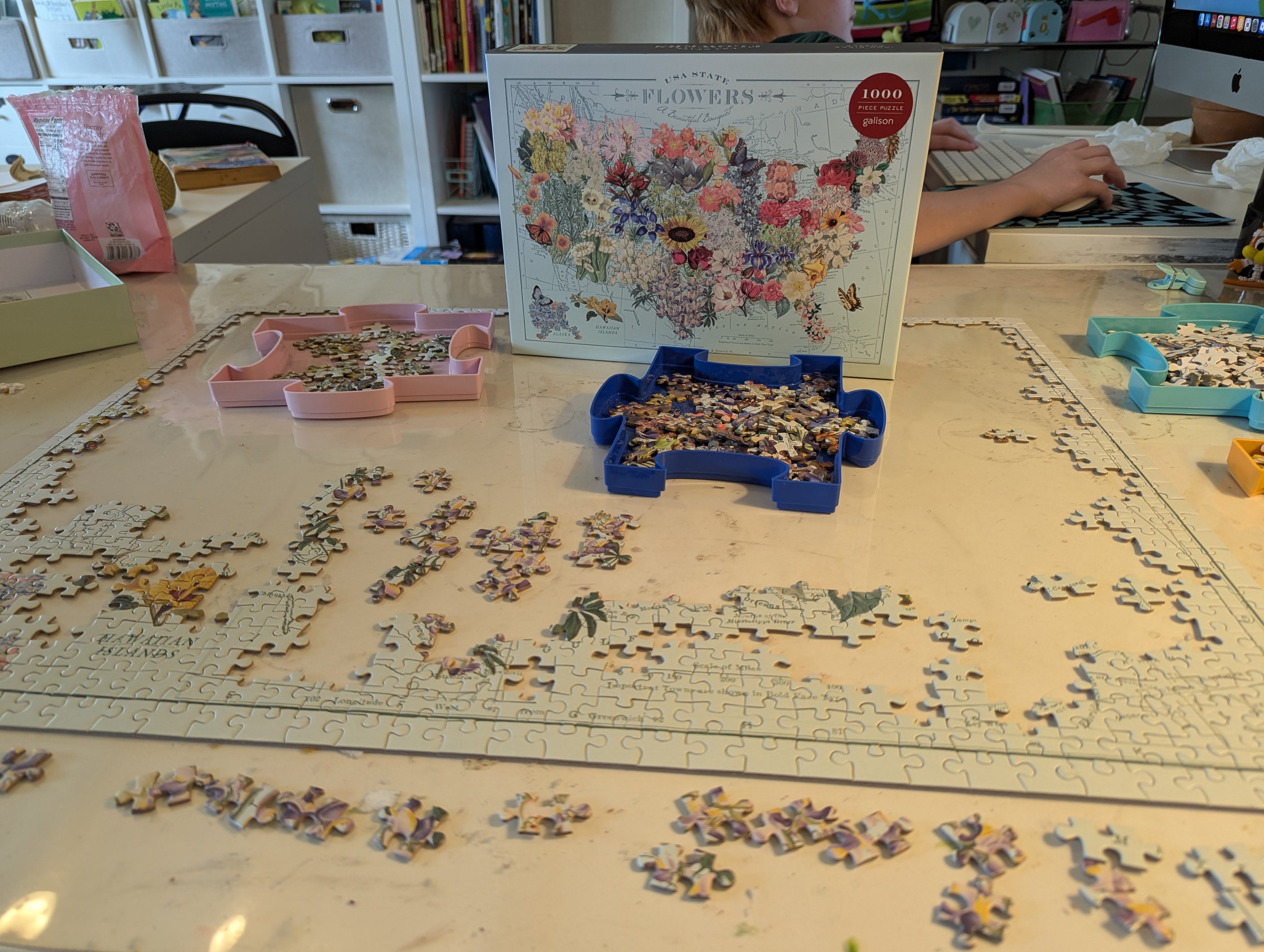 #26: Complete a New 1000pc Puzzle
